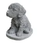 morepic-1